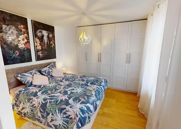 Modern Jungle - 科尔马