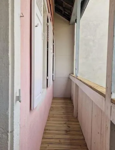 Modern Jungle - 公寓