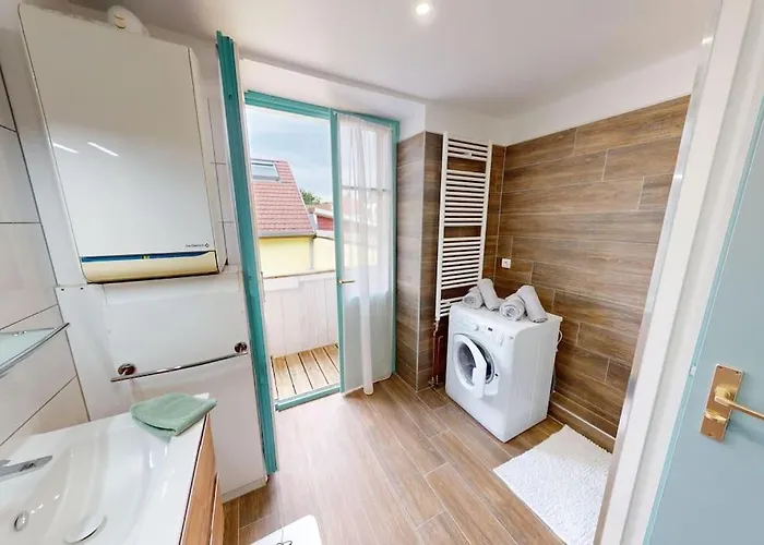 公寓 Modern Jungle - *