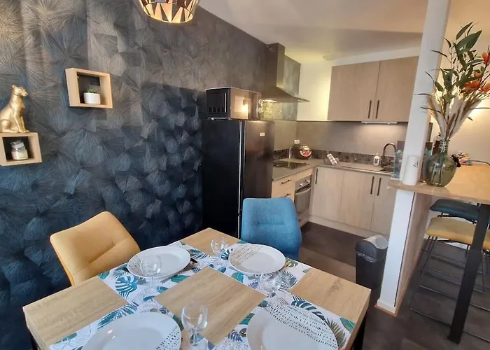 Modern Jungle - 科尔马